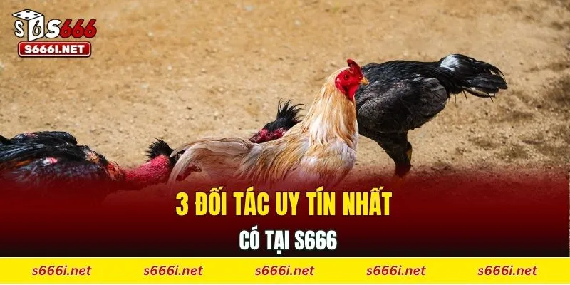 3 đối tác uy tín nhất có tại S666